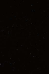 IMG_0044 (2)